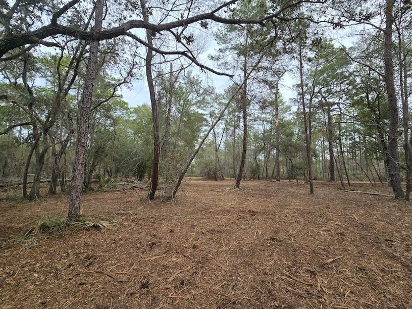 5ac, Marion, Andrew Goering04