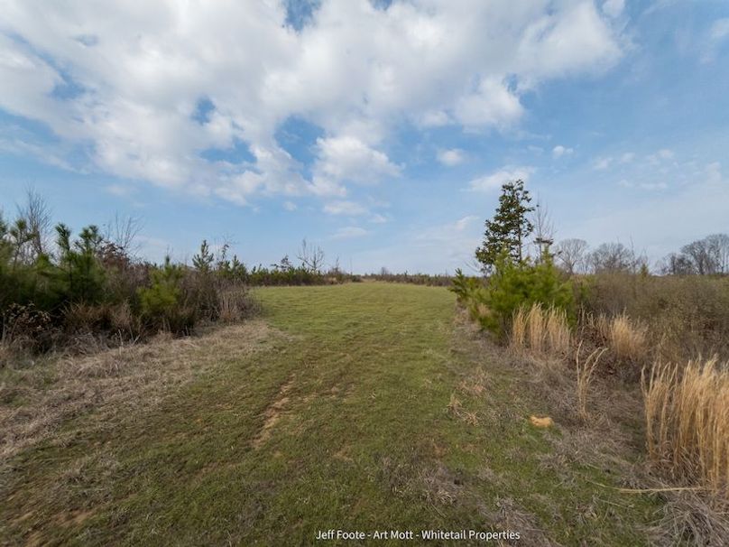 Holmes County - 108 - Rodriguez-61