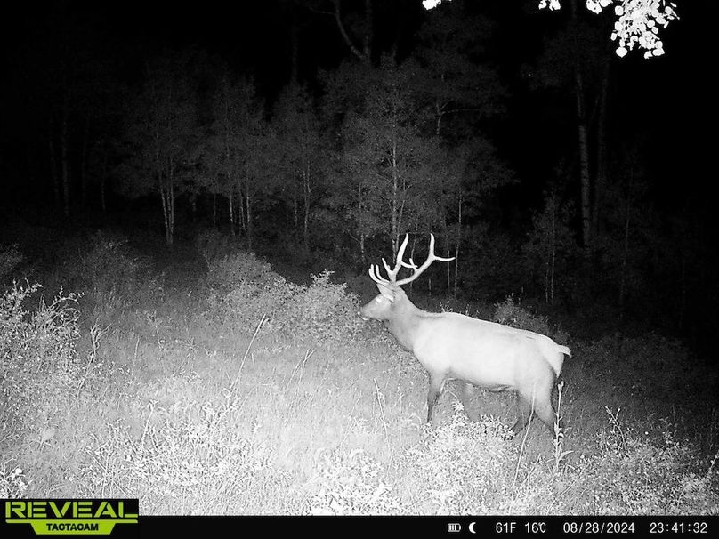 Copy of 864049052055672-60-4-08282024234132-HD-W1000270 (2)