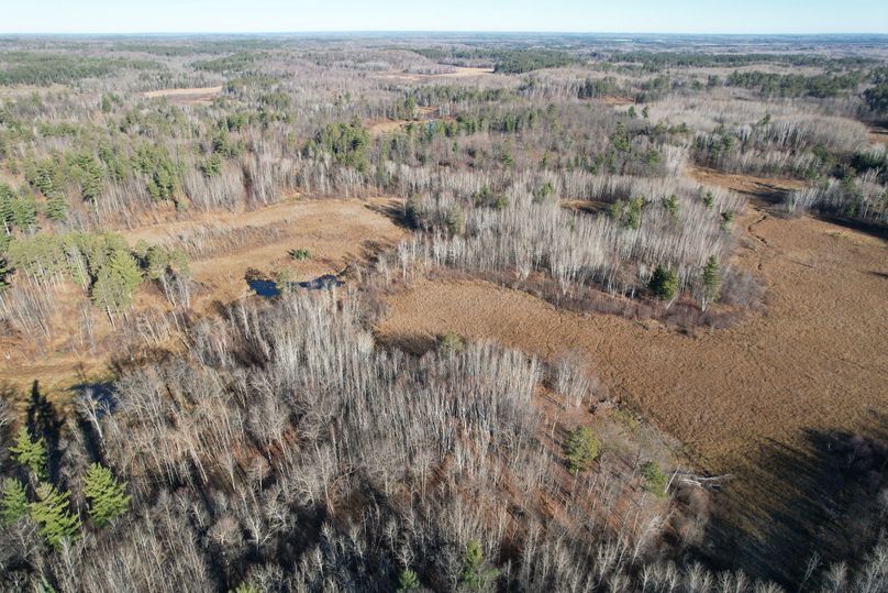 dji_fly_20231113_100442_279_1699892001964_photo