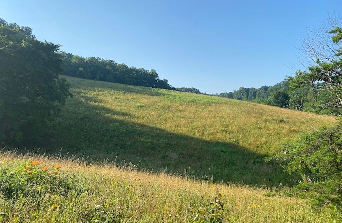 003 the rolling meadow pasture ground in the south part of the property copy