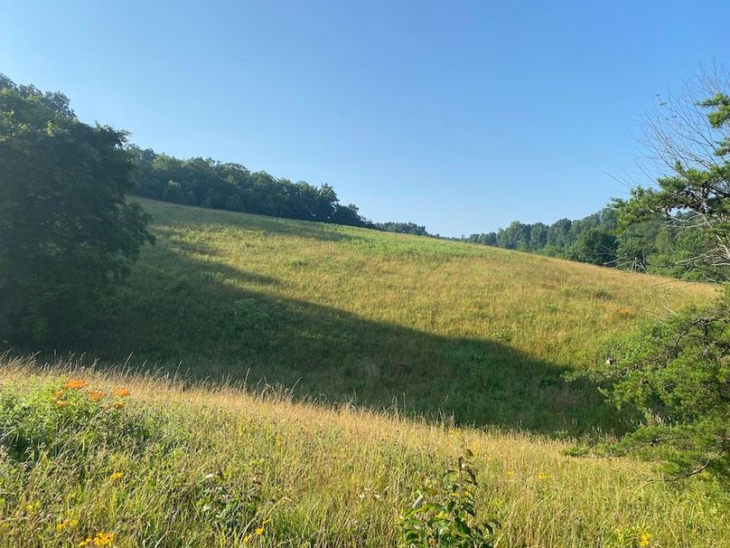 003 the rolling meadow pasture ground in the south part of the property copy