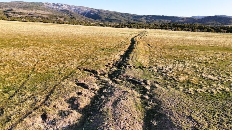 DJI_20250409191249_0046_D