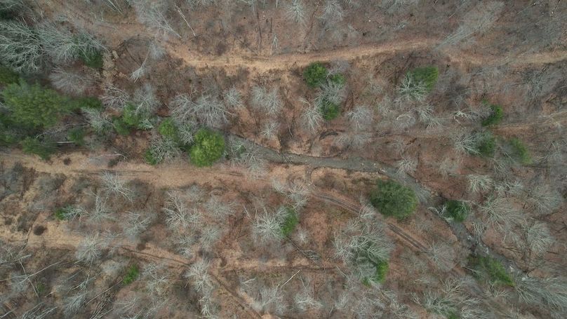 dji_fly_20260323_135722_192_1774365626581_photo