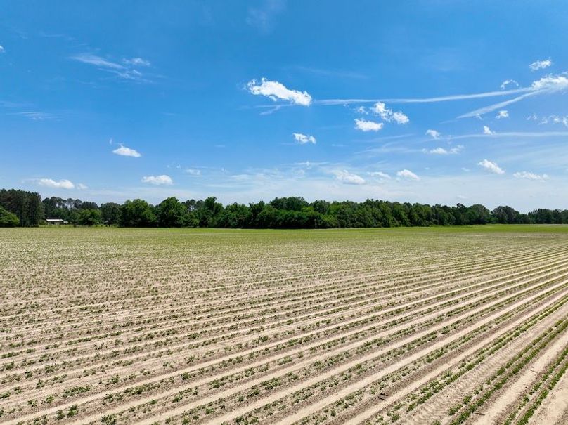 dji_fly_20250521_144640_882_1747853596074_photo