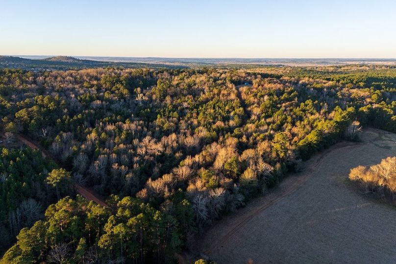 DJI_20260116075057_0008_D