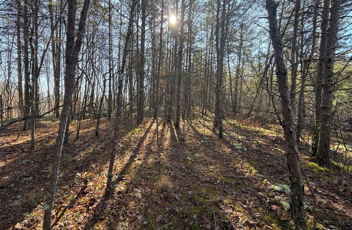 001 view of just one of the flattened  open building locations