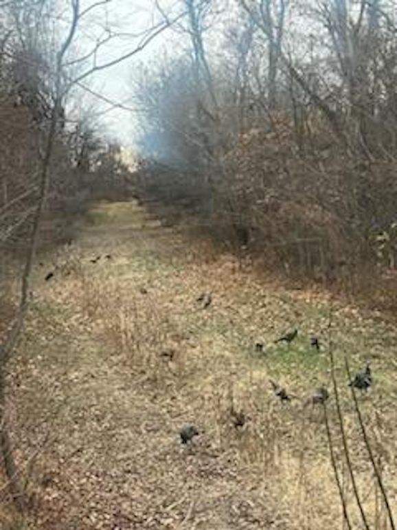 IMG_6281_1705590821778
