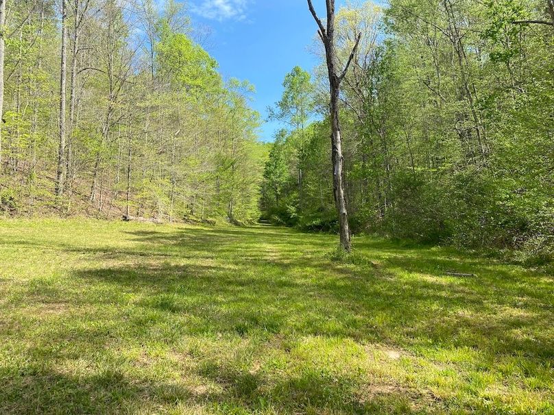 022 nice opening in the back of the valley, perfect food plot location copy