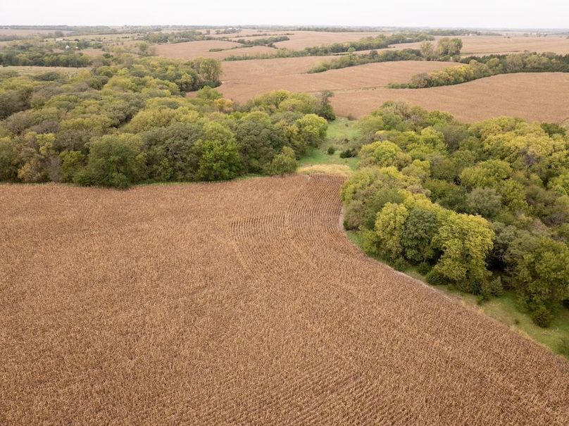 DJI_20251011101522_0125_D