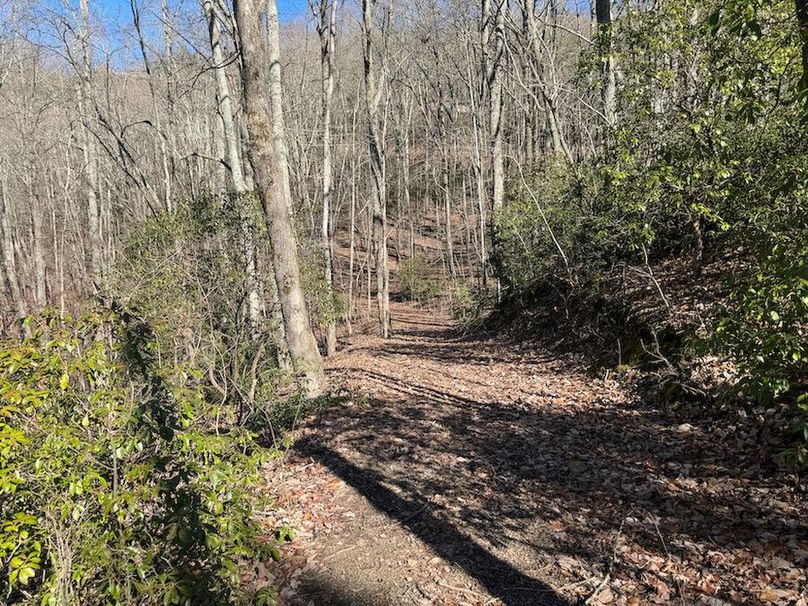 Cherokee 118.85 Harris Top-28