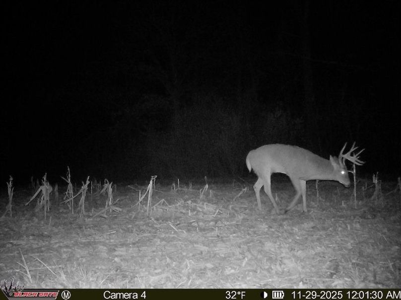 302CD940-6770-4A26-8E2F-9DCB7A78734B