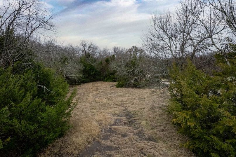 Fannin County- 5.01 acres-13