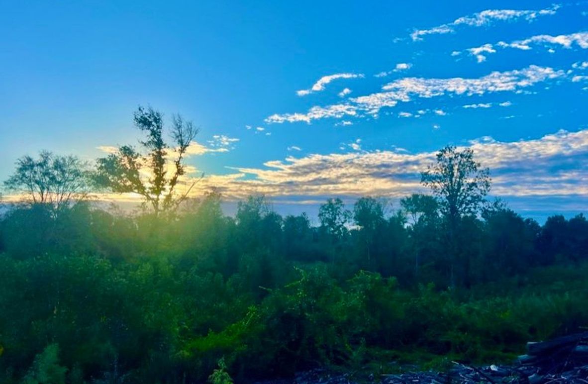 4A672BA8-B6F7-4D1E-A7CF-4664D153319C_1_105_c