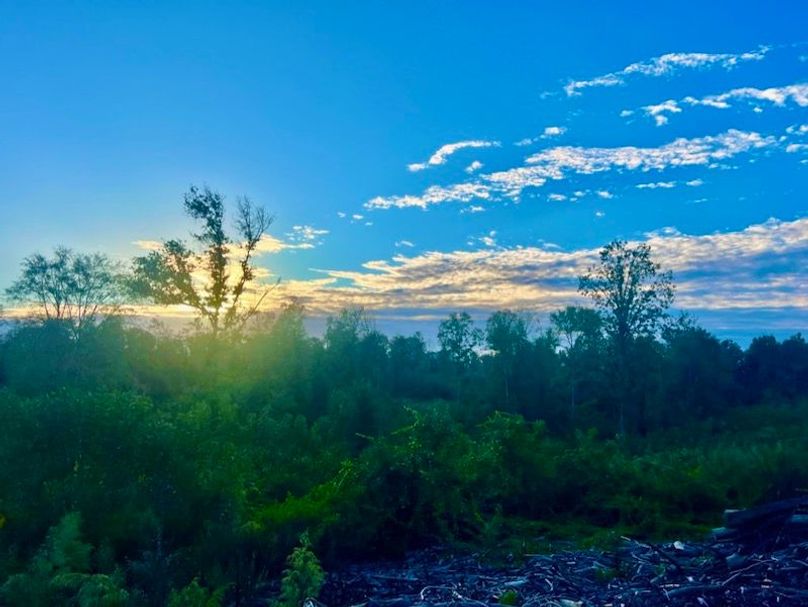 4A672BA8-B6F7-4D1E-A7CF-4664D153319C_1_105_c