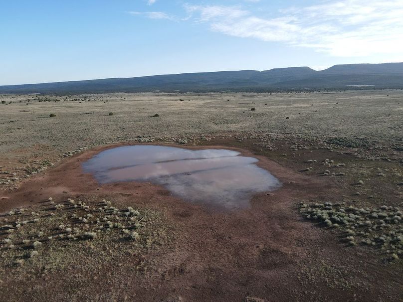 dji_fly_20240504_072836_310_1714829351198_photo