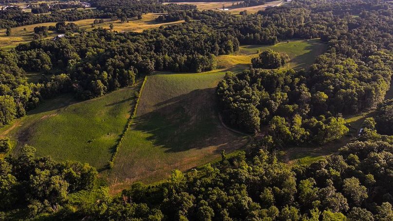 dji_fly_20250705_194444_0400_1751759938324_photo