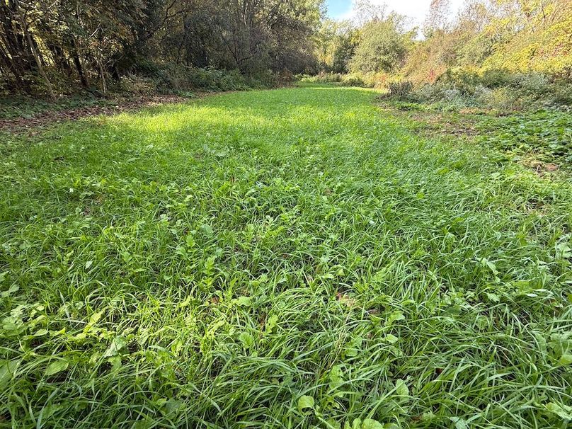 Cayuga_55.02_Herman Photo 51