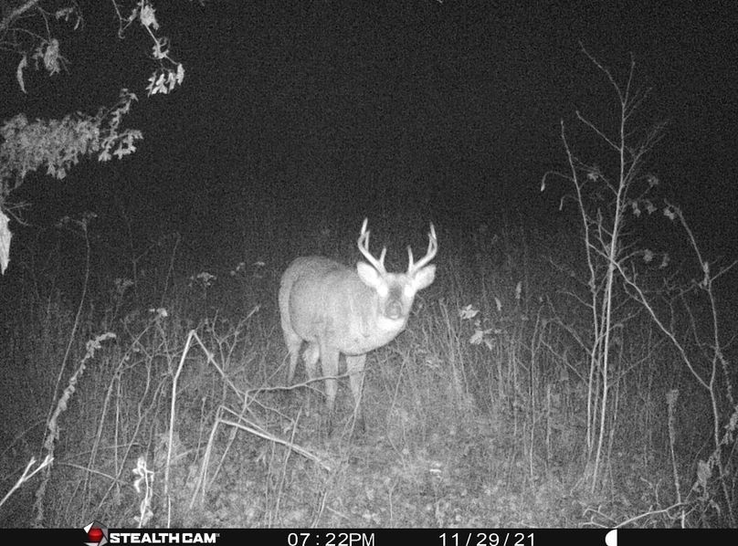 Screenshot_20230402_142148_Messages