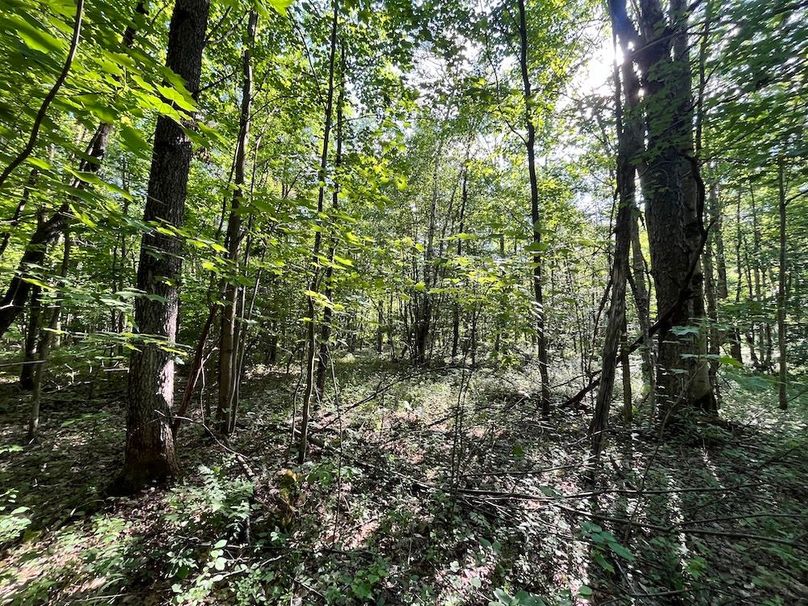 Jefferson_260.3_ Lobach_Photos_53