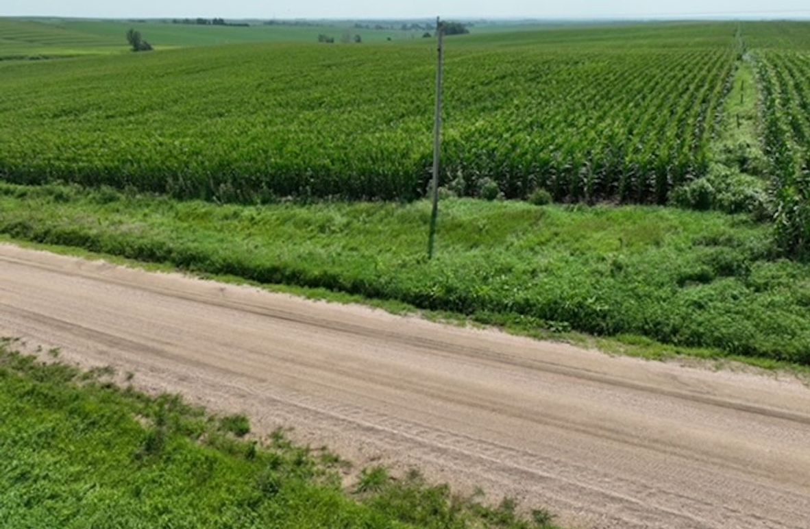 dji_fly_20250805_125406_379_1755697046414_photo