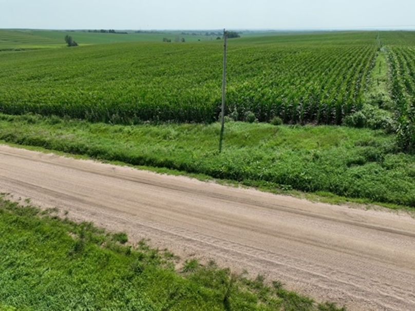 dji_fly_20250805_125406_379_1755697046414_photo