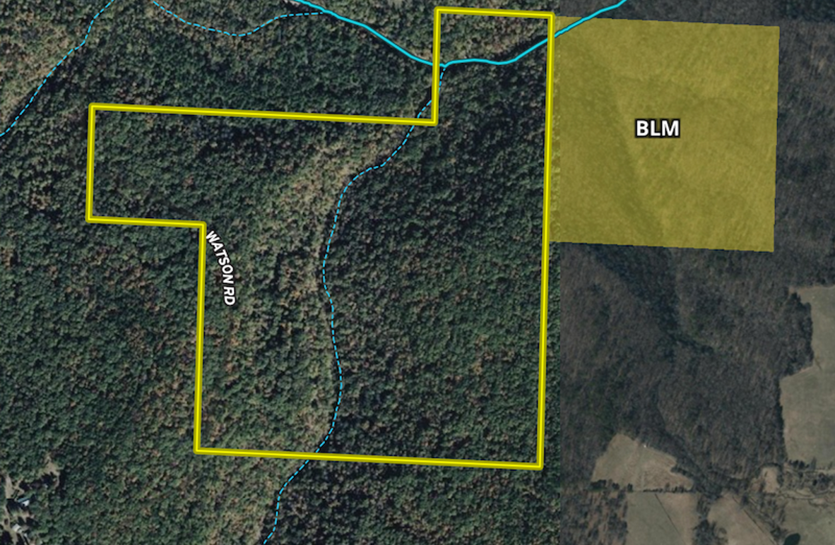 Screenshot 2026-03-17 at 10.10.49 AM