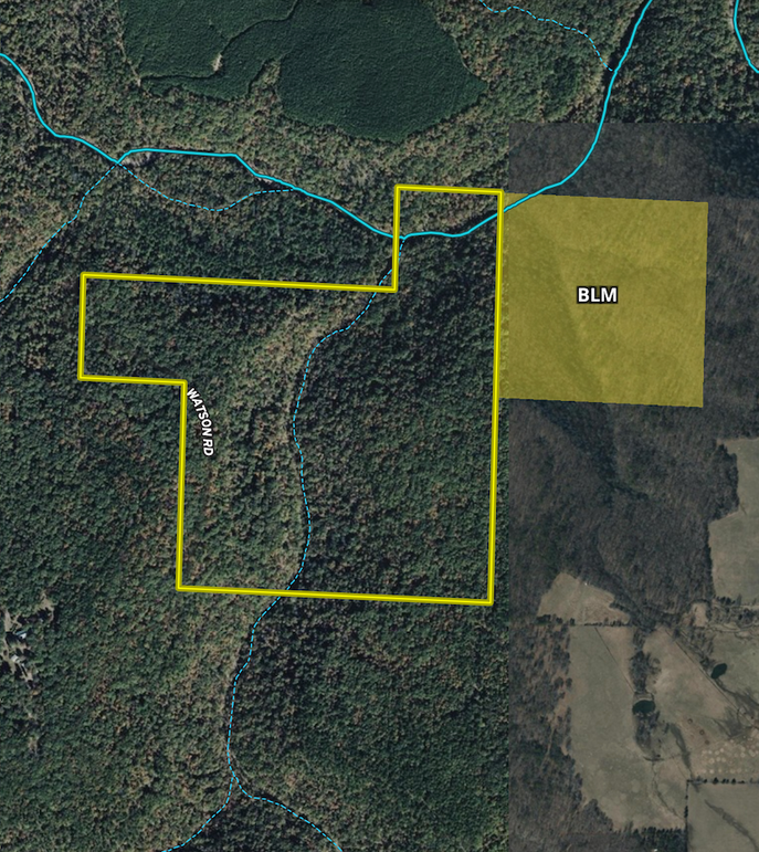 Screenshot 2026-03-17 at 10.10.49 AM