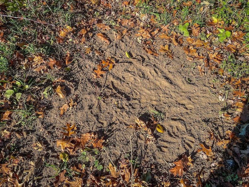 Portage 150.81 JMJK Prop-14