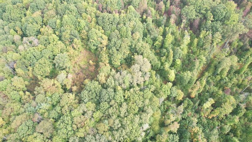 dji_fly_20240919_101058_690_1726755212996_photo