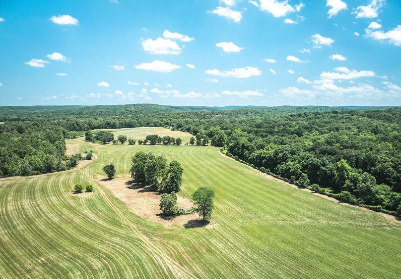 DJI_20250621134426_0659_D