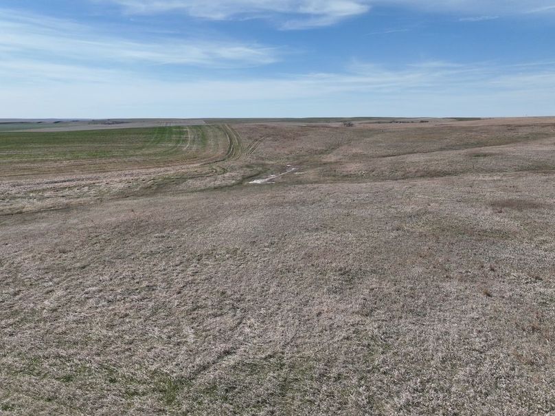 DJI_0354