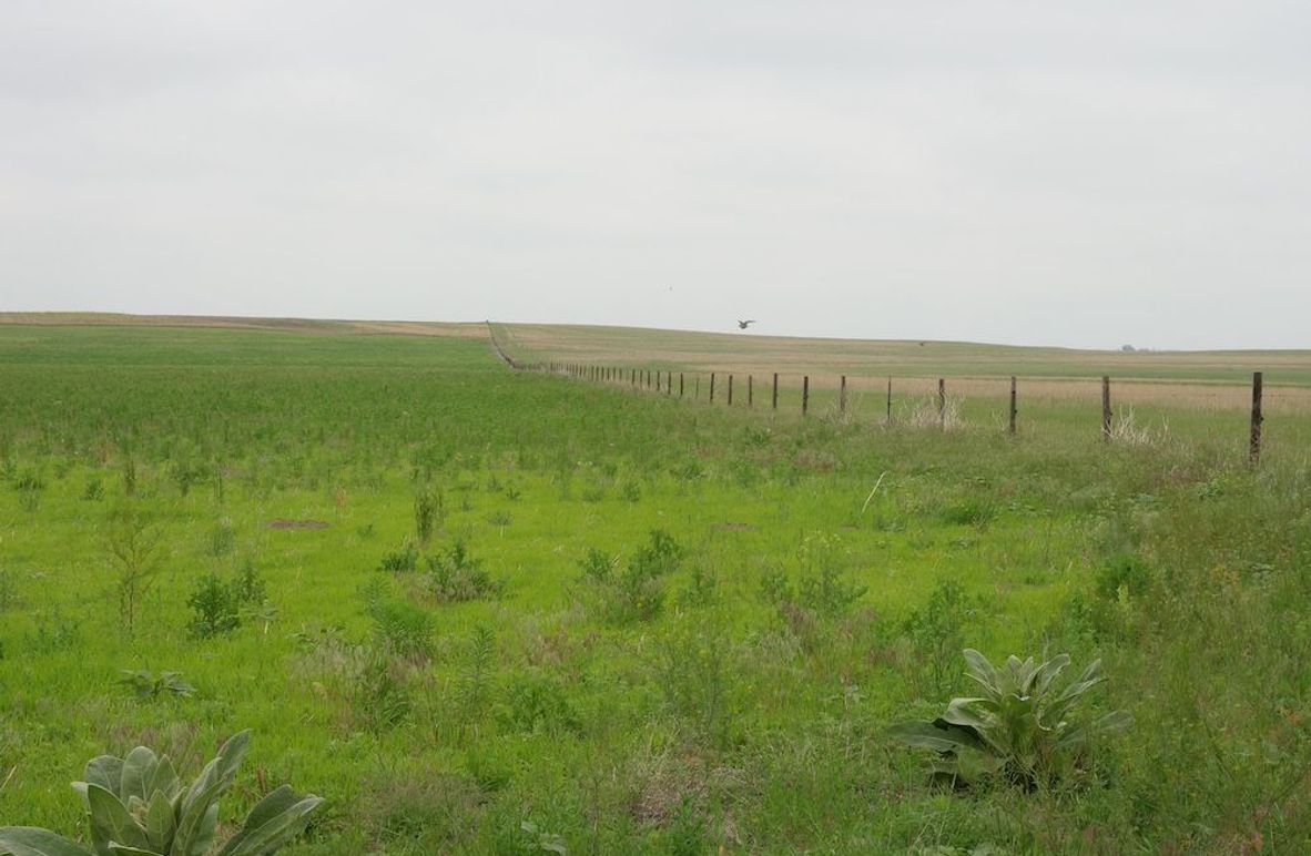 P1047747
