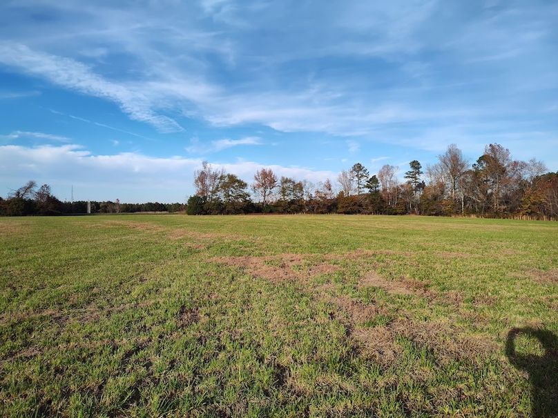 IMG_20251105_154052328