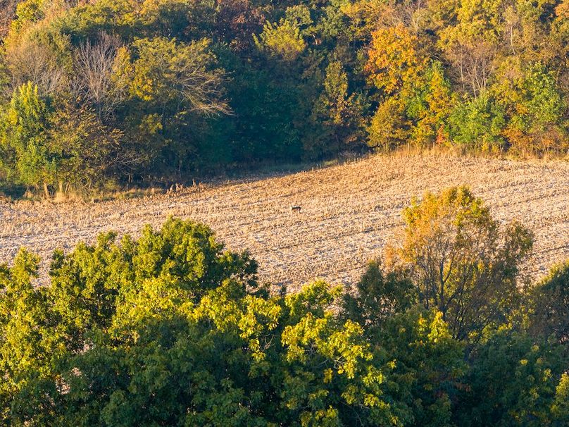 DJI_20251031082019_0195_D-HDR