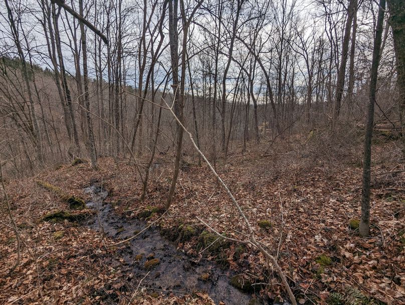 PXL_20230213_165244847