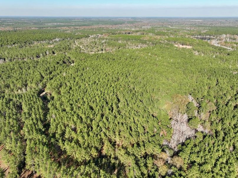 dji_fly_20251222_142128_100_1766431466484_photo