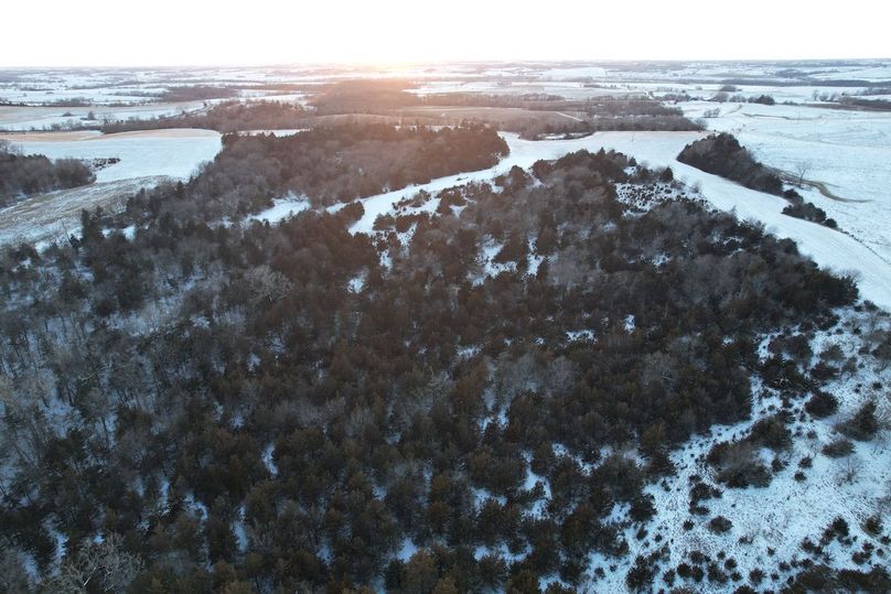 DJI_0537