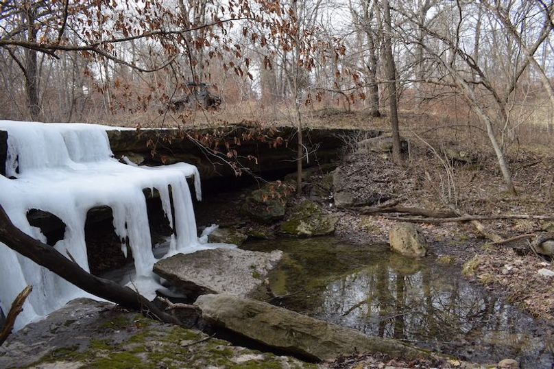 DSC_0100