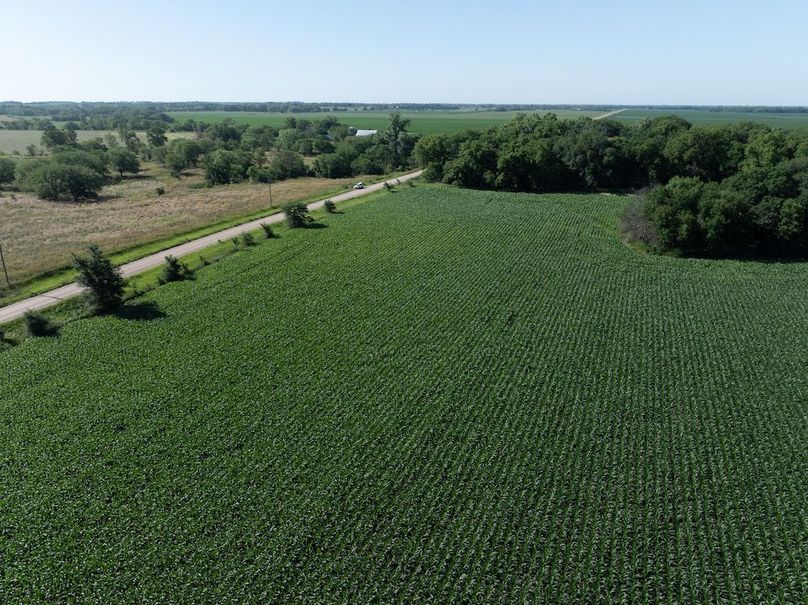 20240624-DJI_20240624093346_0046_D