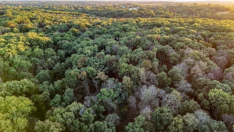 DJI_20251010174441_0036_D