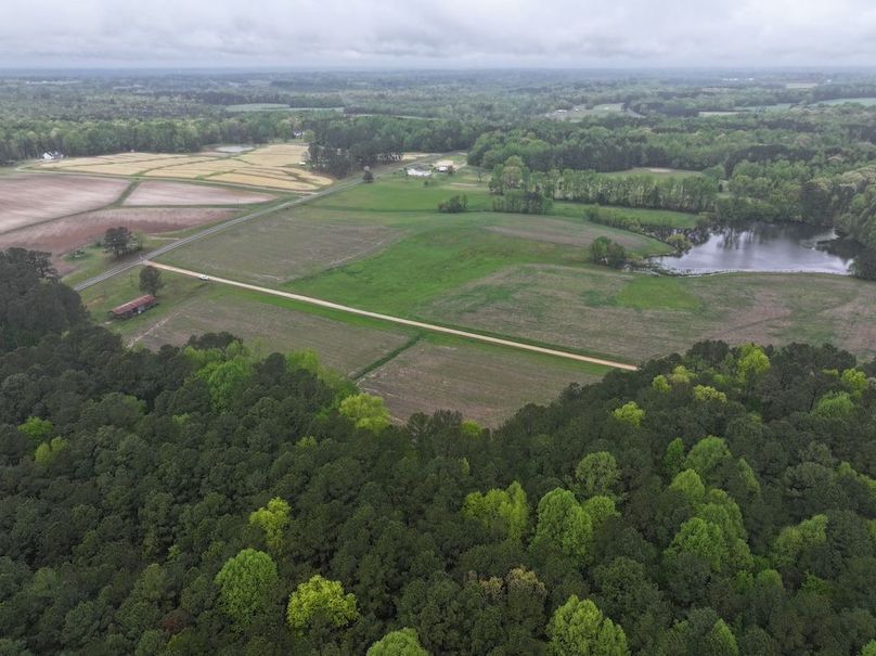 DJI_20250411111409_0037_D