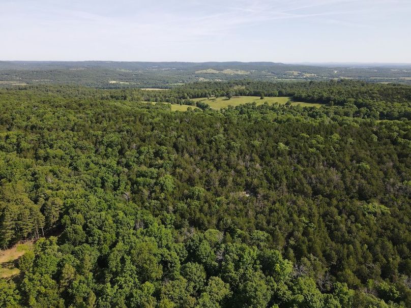 dji_fly_20260514_093030_789_1778769122936_photo