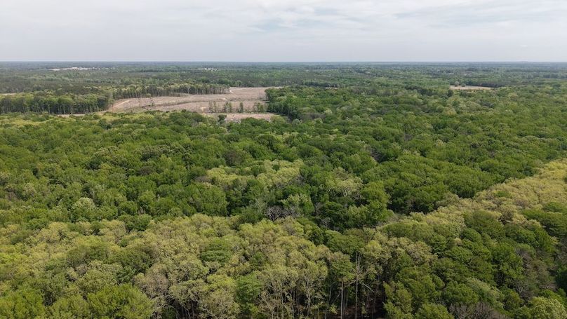 DJI_20260413125033_0150_D