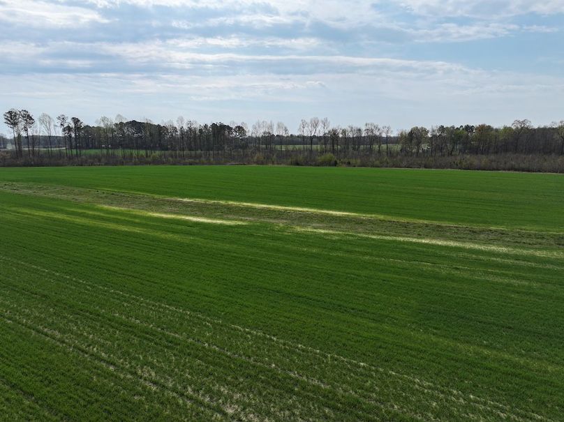 DJI_20260303063425_0544_D