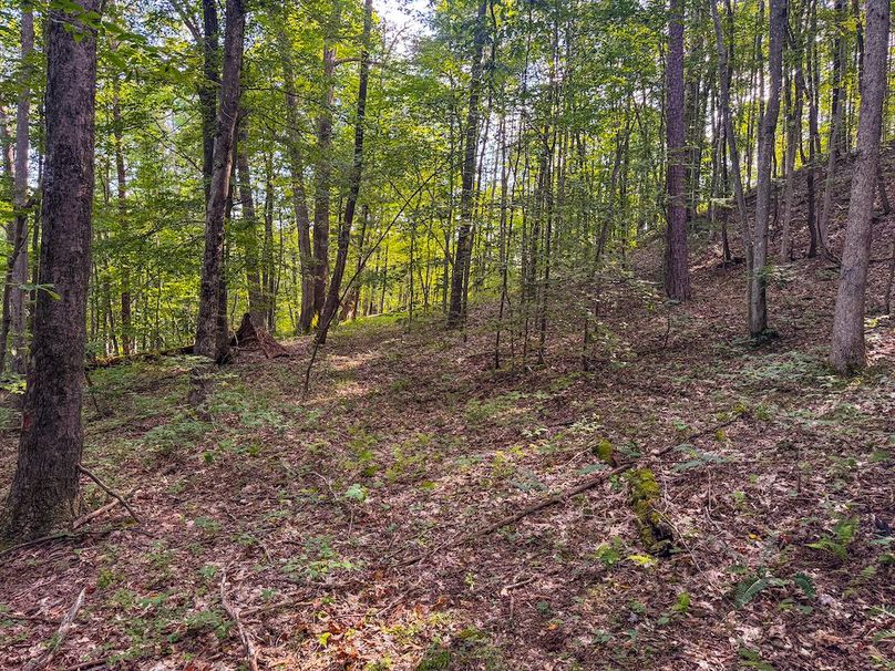 Lewis, WV 82.87 AC Barger-108