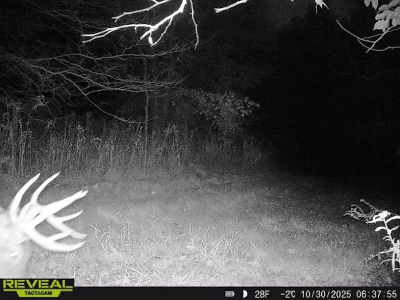 Copy of Trail photos.25