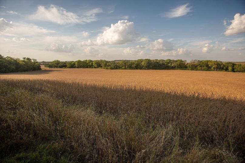 Copy of POTTAWATTAMIE CO IA 311 TRACT 3_7