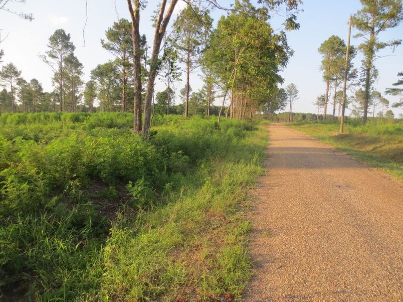 951F5F00-6BF7-40C0-A098-765079697215_1_105_c