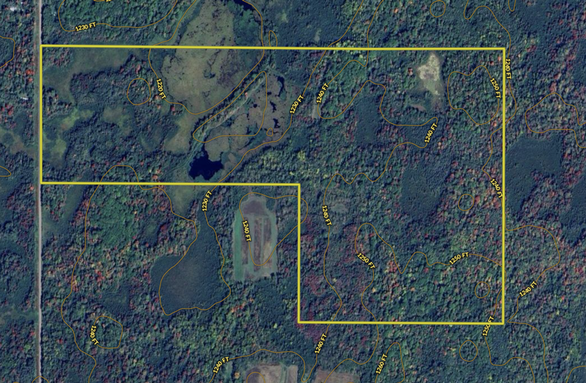 Screen Shot 2024-07-08 at 6.12.29 PM